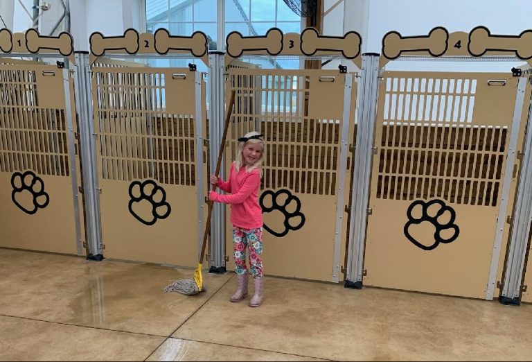 Countryside Pet Resort Spa Kennels Zeeland Michigan